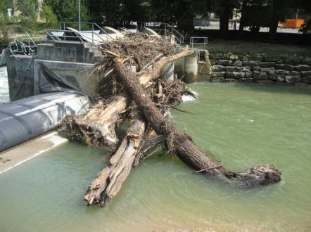 <i>Hochwasser Laufen</i>