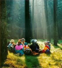 eine Gruppe Kinder im Sonnendurchfluteten Wunderwald auf dem Märchenwaldboden sitzend