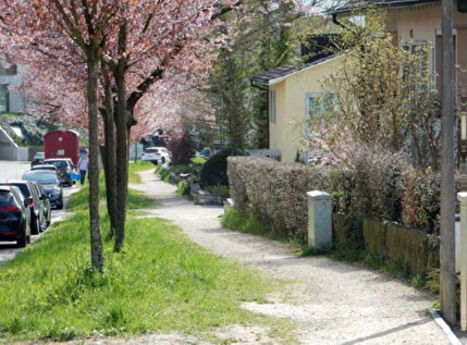 Unversiegelte Fusswege und Baumreihen verbinden Lebensräume miteinander und lassen Regenwasser versickern (Foto: oekoskop AG). 