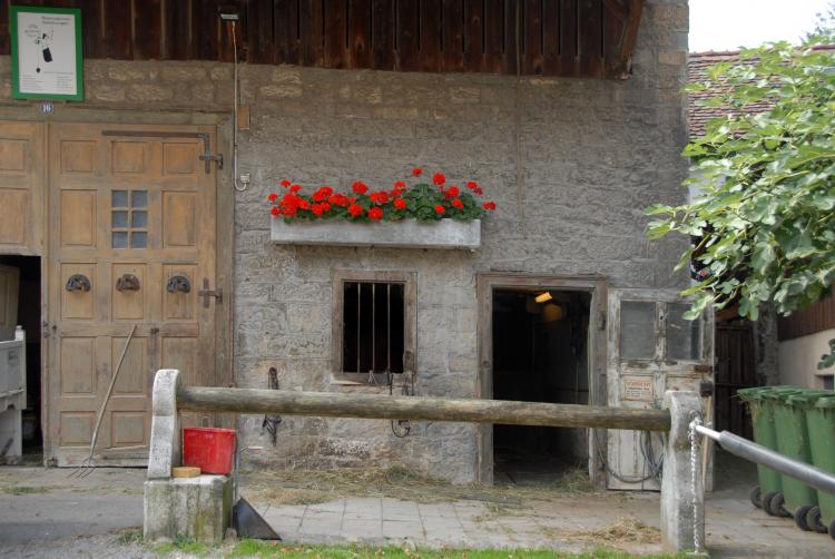 im Oberdorf