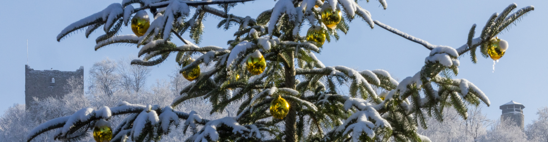 Weihnachtsbaum im Schnee