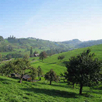 Basellandschaftliche Hügellandschaft