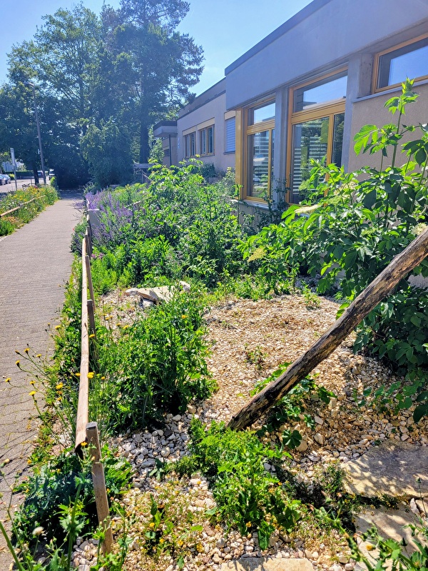Blumen vor dem Haus