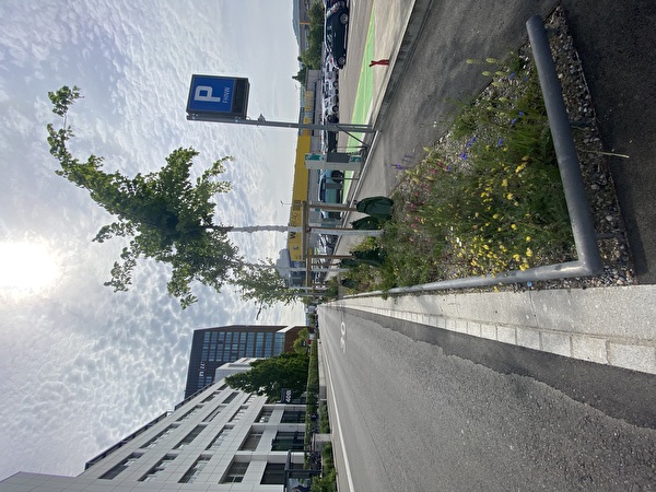 Baumrabatten 
