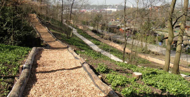 Finnenbahn,  Länge 415m und Teil des
Vita-Parcours "auf der Rütihard", Länge 2,5km