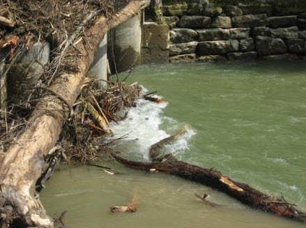 <i>Hochwasser Laufen</i>