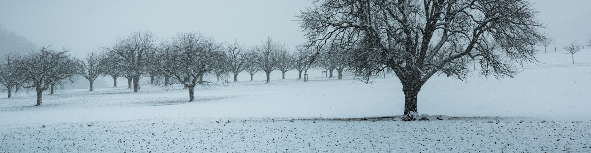 Winterliche Stimmung auf der Rütihard