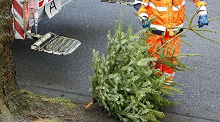 Weihnachtsbaum-Abfuhr