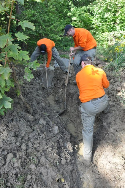 <i>Einsatz zu Gunsten der Gemeinschaft</i>