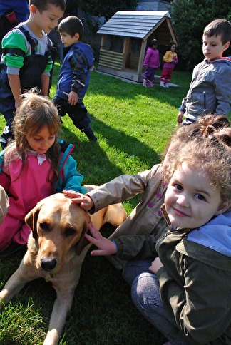 Sozialhunde im Kindergarten