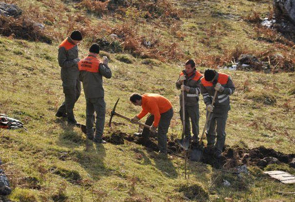 <i>Verlegen einer neuen Wasserleitung</i>