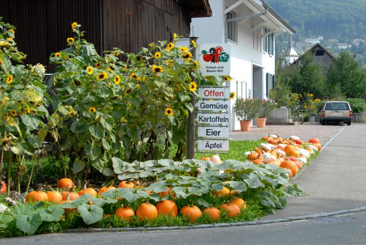 an der Baselstrasse