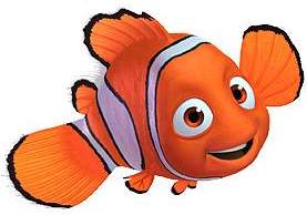 schwimmen wie nemo...