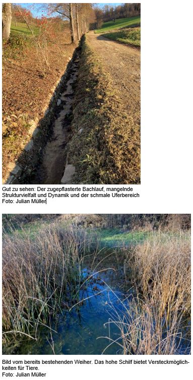Revitalisierung Riedmattbächli