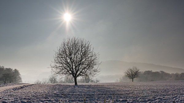 Winterlandschaft mit Baum und Sonne