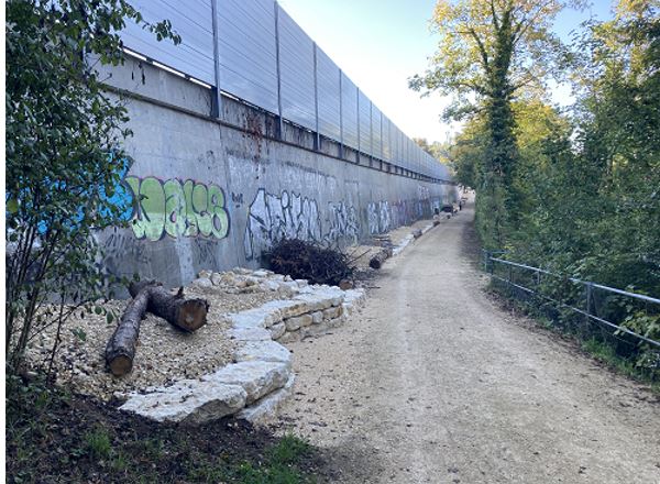 Neue Ökologische Vernetzungsachse am Birsuferweg kurz nach Fertigstellung durch den Werkhof Muttenz. Foto: Gemeinde Muttenz