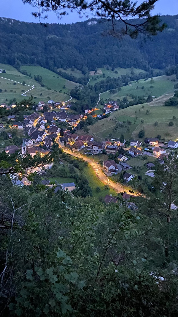 Bärschwil von Burgholle aus