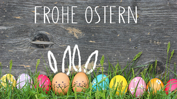 Eier mit Hasenohren