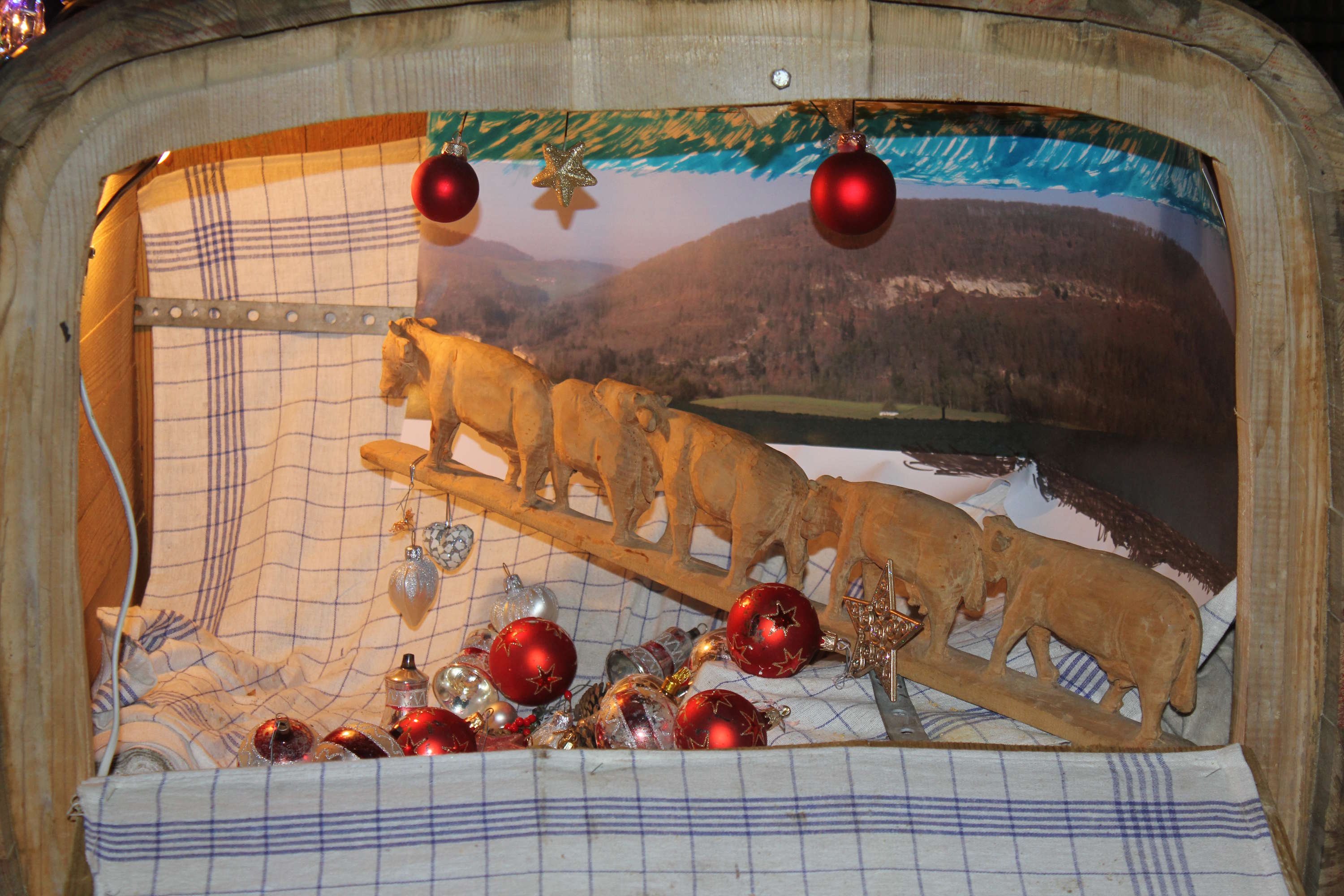 Kuhherde mit Weihnachtsschmuck