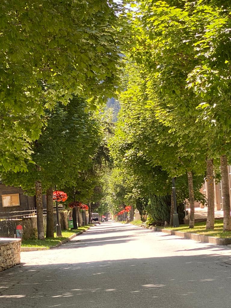 Promenade