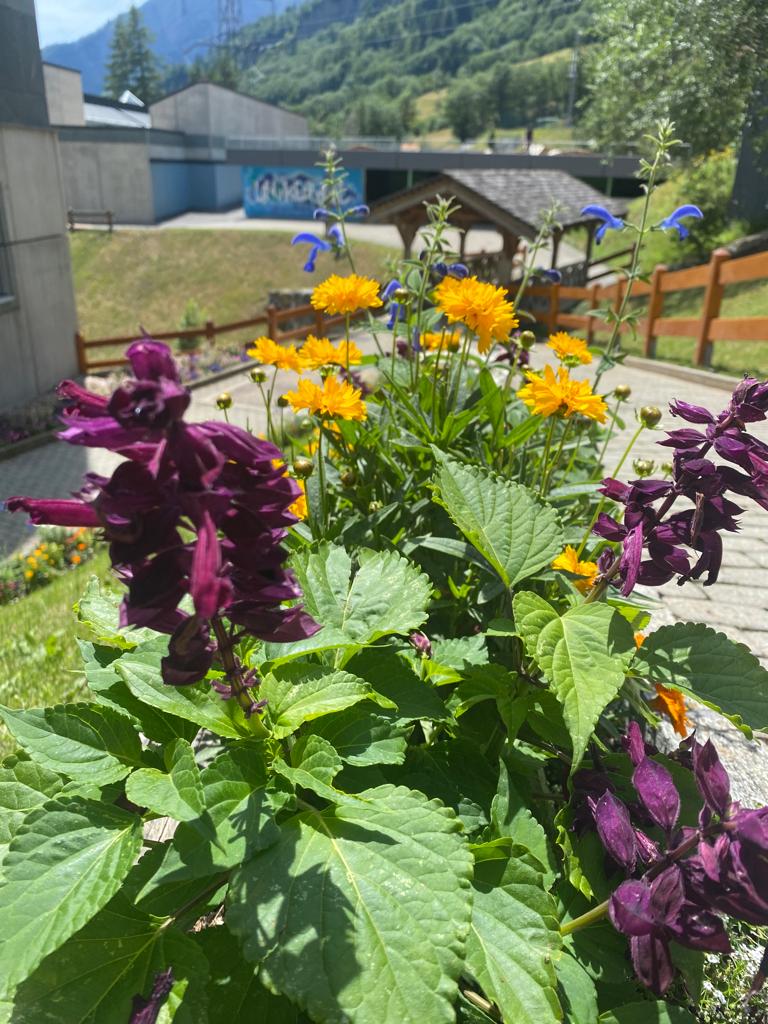 Blumen 2
