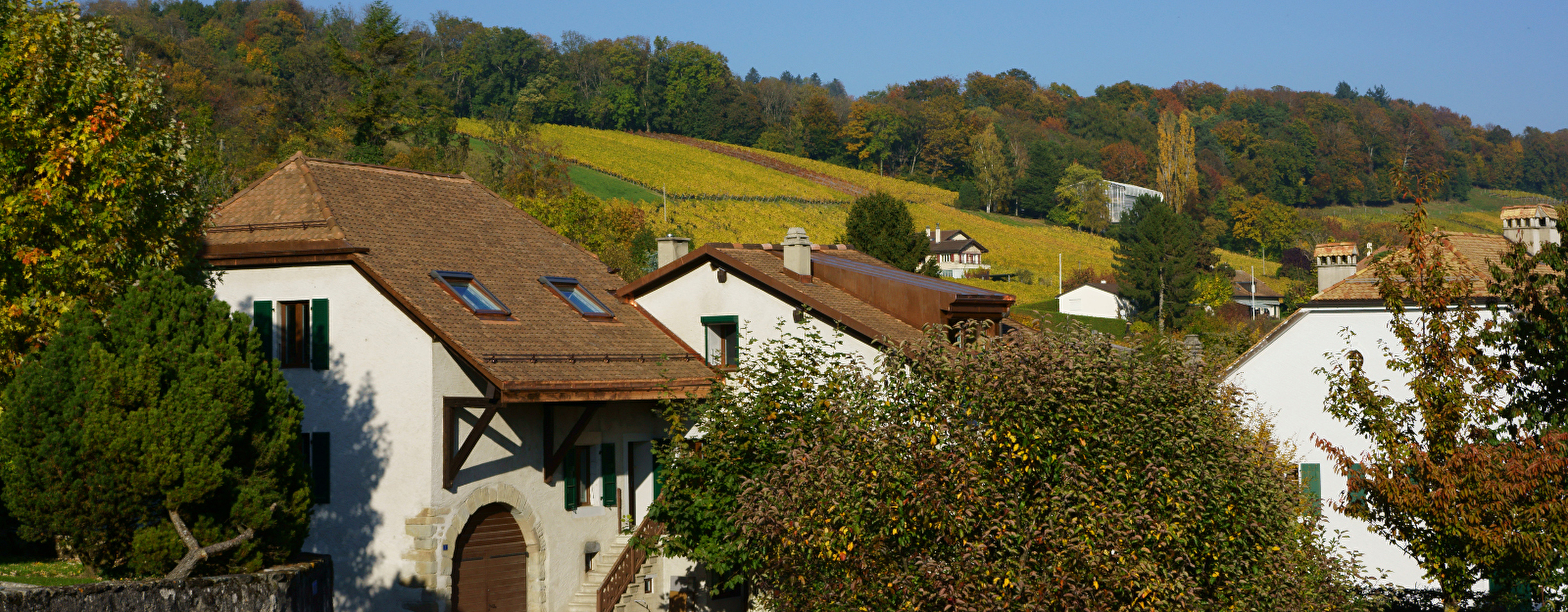Vue du village de Begnins
