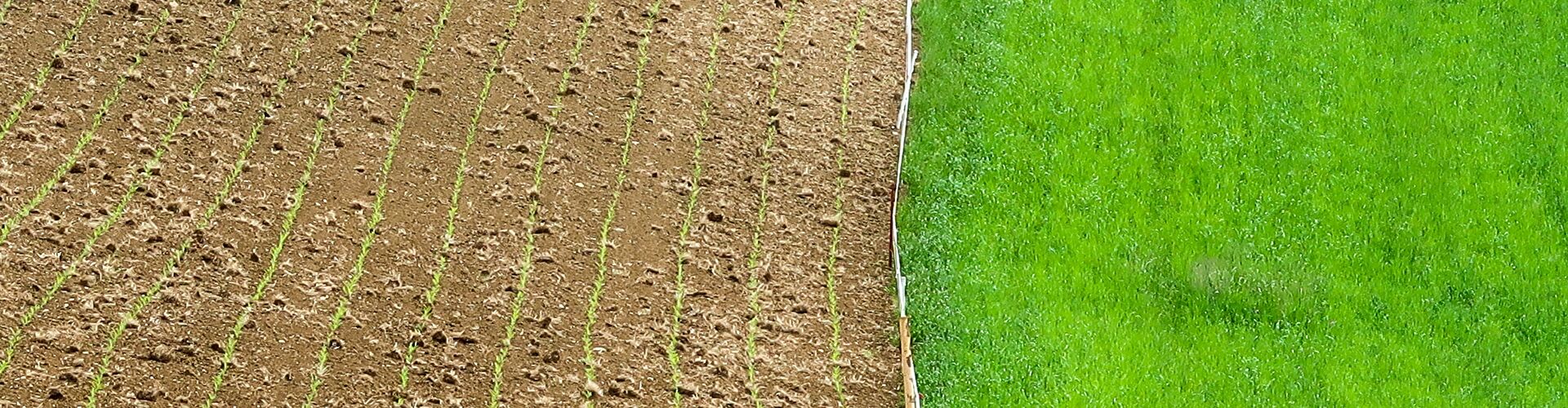 Landwirtschaft