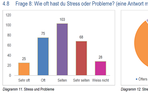 Auszug aus der Jugendbefragung. (Bild: Stadt Kloten)