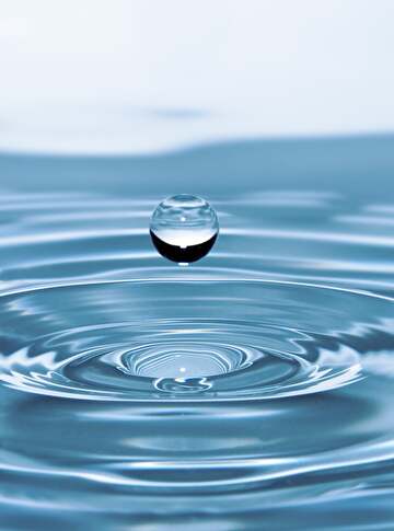Jetzt Wassersparen! Bild: Rony Michaud