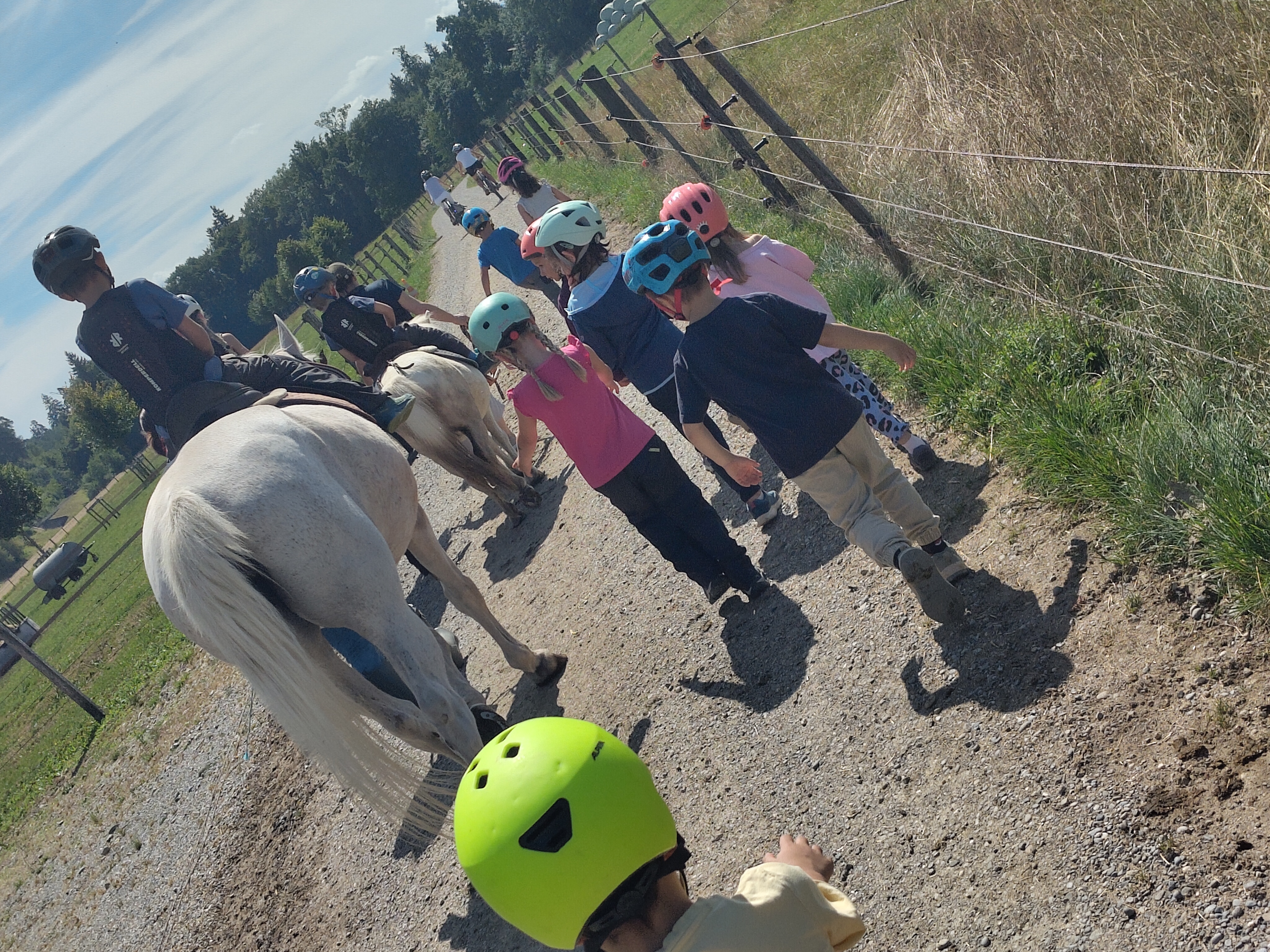 «Erlebnistag auf dem Bauernhof»