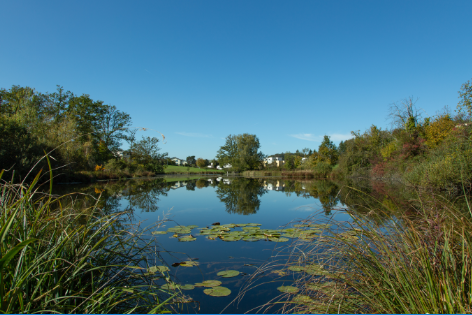 Nägelimoos Weiher