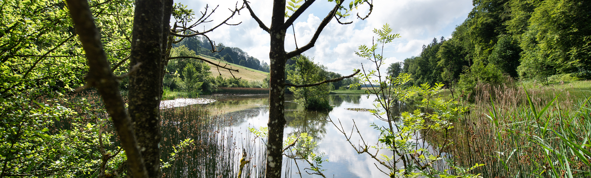 Eigenthal-Weiher