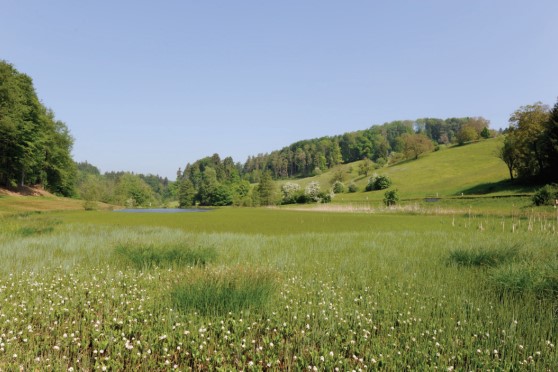 Eigental