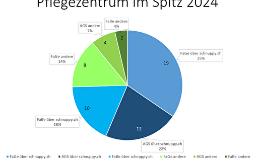 Statistik Schnupperpraktika / Selektion