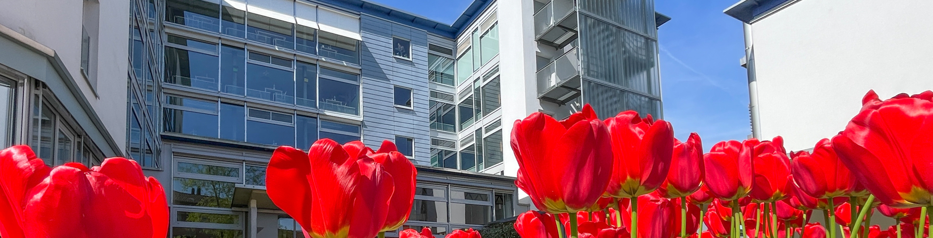 Pflegezentrum im Spitz. Bild: Stadt Kloten (MGE)