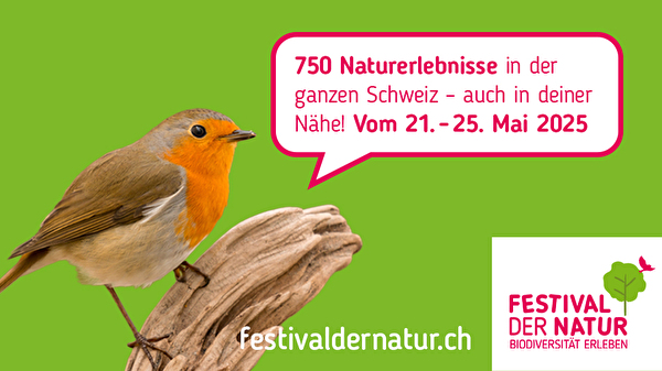 Natur erleben mitten in Kloten: Der Biodiversitätstag am 24. Mai bringt Wissen, Spiel und Inspiration auf den Stadtplatz – für Gross und Klein. (Bild: Festival der Natur)