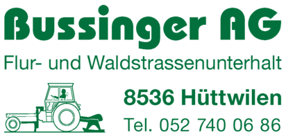 Bussinger AG
