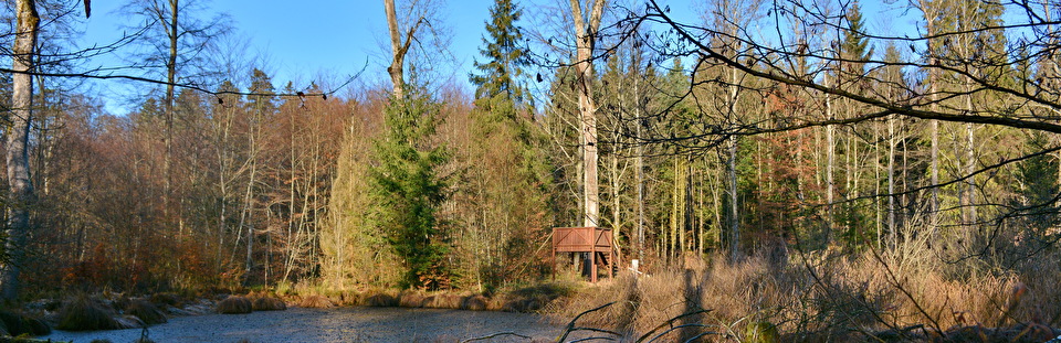 Nussbaumen