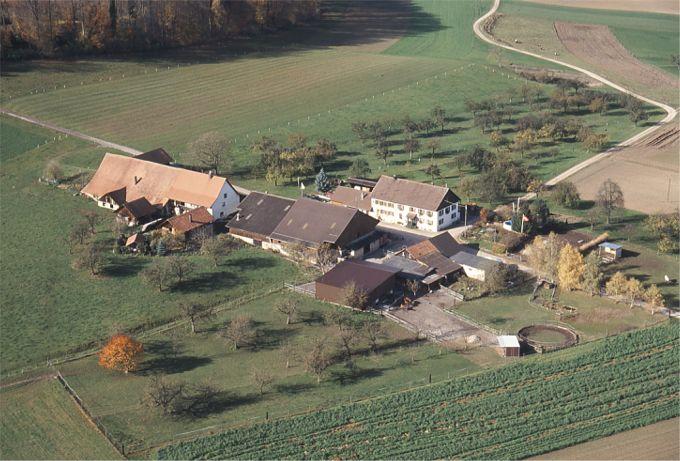 Der Weiler Moorwilen liegt beim 4-Ländereck.
Hier treffen sich die 4 Gemeinden, Eschenz, Mammern, Herdern und Hüttwilen.
