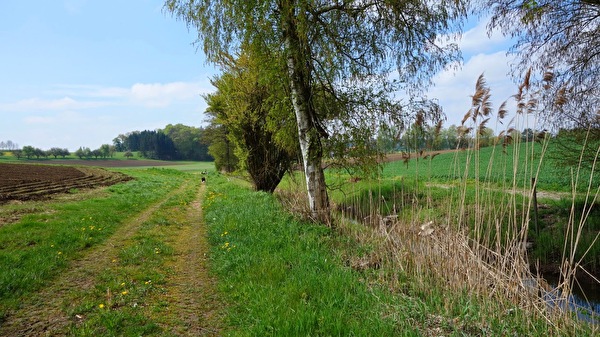 Seebach