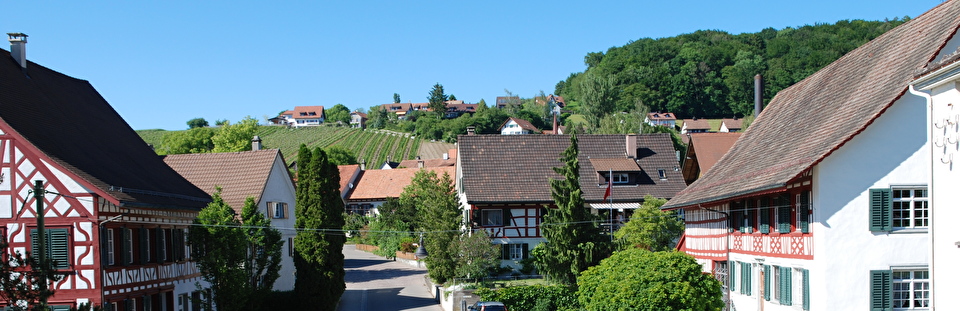 Nussbaumen