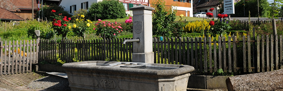 Nussbaumen