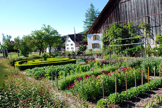 Dieser Garten in Nussbaumen wird sehr liebevoll gepflegt. 