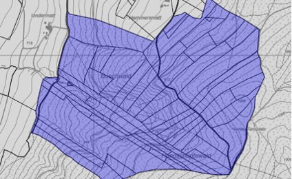 Zone Ersterhebung Freimettigen