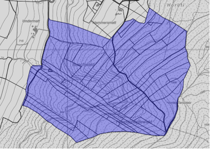 Zone Ersterhebung Freimettigen