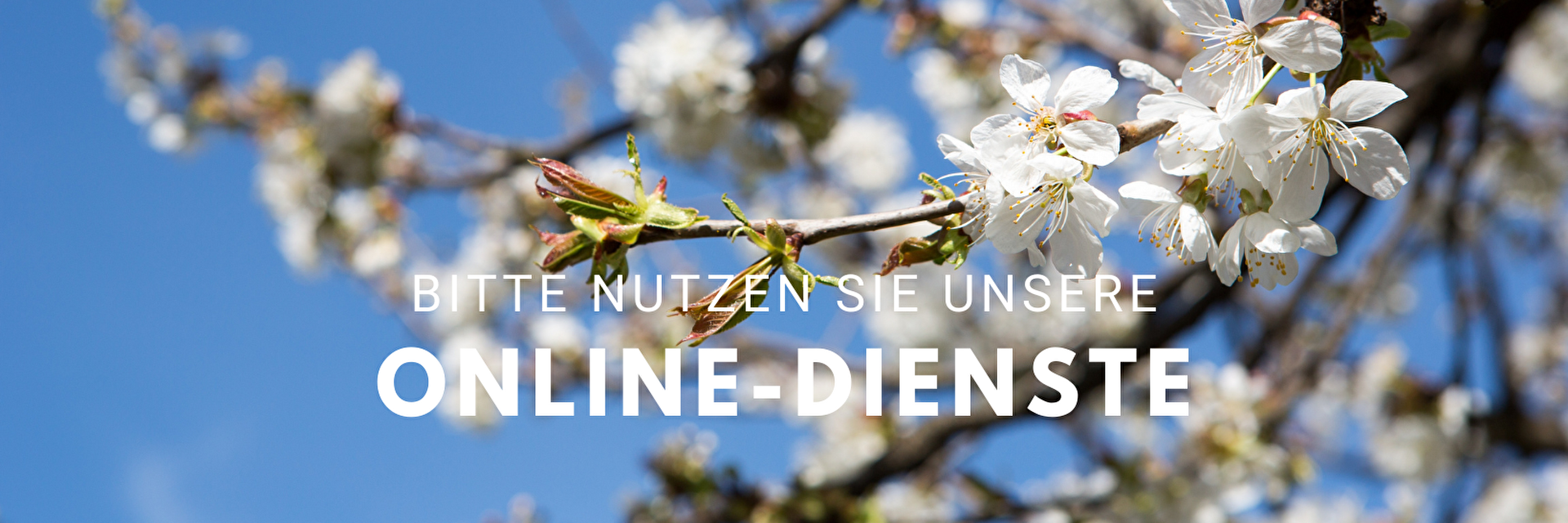 Frühling