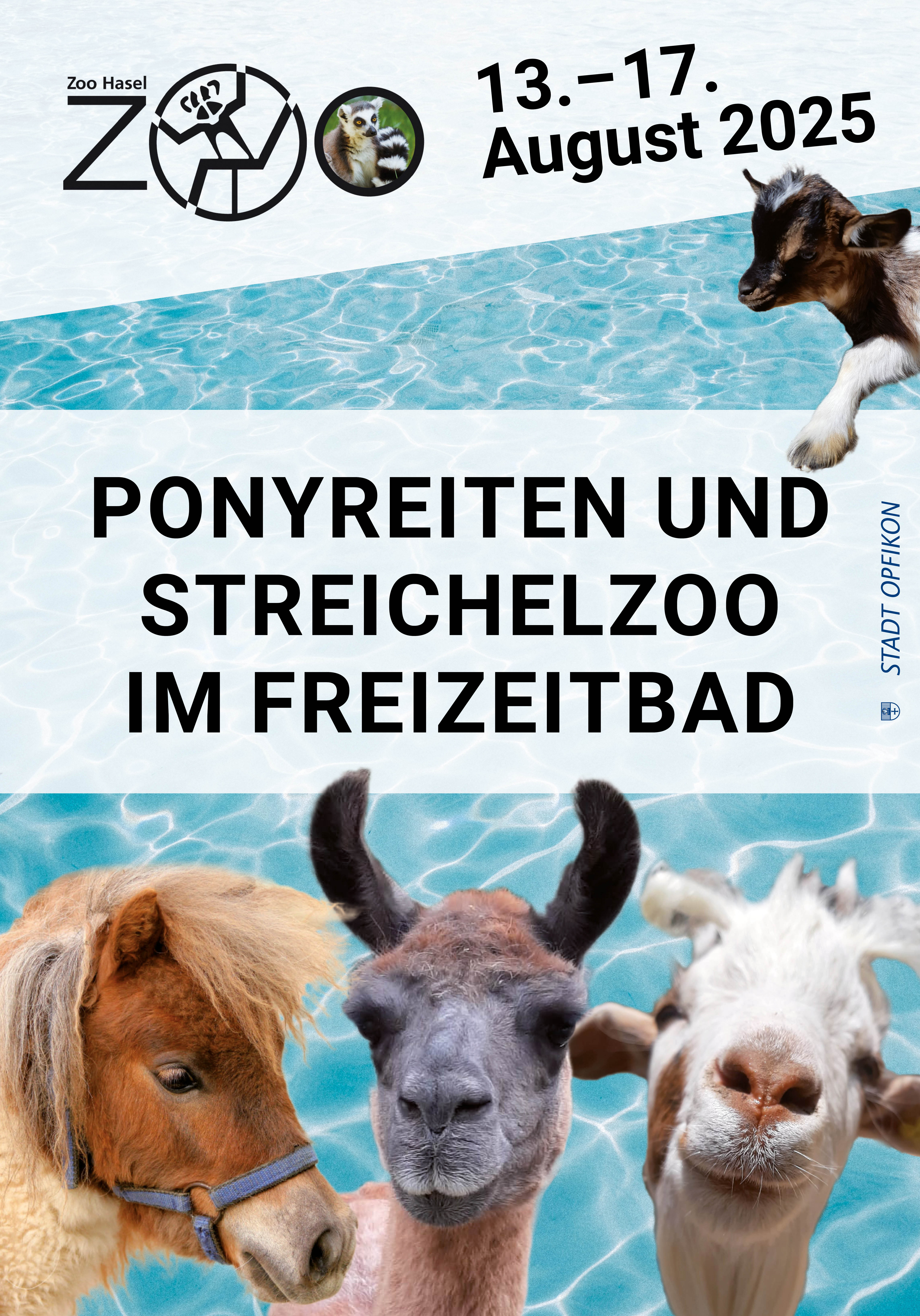 Ponyreiten