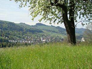 Der Frühling ist in Malters eingekehrt.