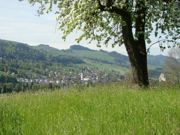 Der Frühling ist in Malters eingekehrt.