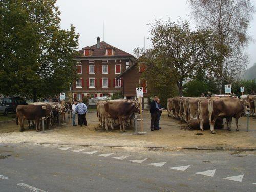 Mindestens dreimal jährlich findet beim Parkplatz Allmendli der Viehmarkt statt. Das dahinter stehende Gebäude "Ochsen" wurde im Frühjahr 2010 abgerissen. Im "Ochsen" durfte traditionellerweise an diesen Tagen gewirtet werden.
